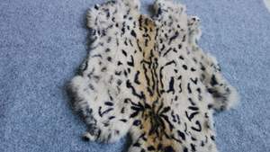 Binnenlandse Konijnenhuid Volwassen Huid Afgewerkt Bont Grondstof Hele Konijnenhaardecoratie Warme Bontkraag - Product Image 4