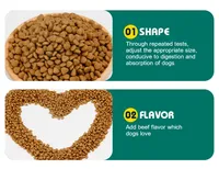 Aliments Secs de Qualité Supérieure Naturels à Haute Teneur en Protéines pour Chiens, Vente en Gros OEM, Fournisseur d'Usine