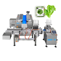 SW-T1 14 tête linéaire combinaison peseur légumes automatique mangeoire chou laitue plateau en plastique Machine à emballer