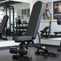 Chaise de musculation réglable pour entraînement complet du corps, banc de fitness pour haltères