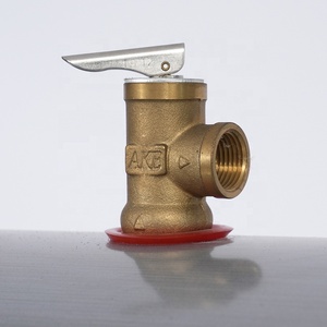 GOSBEL Chauffe-eau solaire extérieur <span class=keywords><strong>en</strong></span> verre haute pression à tube sous vide autoportant 100L pour usage domestique et hôtelier - Product Image 6