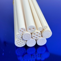Manchon multi-perforations en céramique d'alumine haute performance, tube de protection fiable en Al2O3 pour systèmes optoélectroniques avancés