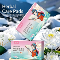 Saussurea Kräuterpflege-Pads Einweg-Damenbinden Tägliche Pflegende Intimhygiene OEM Private Label Fabrik