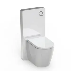 Wandbehang Smart WC Intelligente Voll funktions toilette Smart Bidet WC Toilette