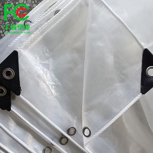 Cubierta <span class=keywords><strong>de</strong></span> plástico transparente para huerto para protección contra la lluvia <span class=keywords><strong>de</strong></span> cerezas Refugio <span class=keywords><strong>de</strong></span> invernadero duradero para uvas, <span class=keywords><strong>fresas</strong></span> y arándanos - Product Image 6