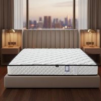 Matelas hybride contemporain standard Queen Size, fermeté moyenne, épaisseur 20 cm, tissu polyester, mousse à mémoire de forme douce et confortable