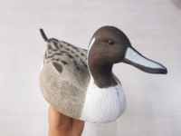 Leurre de Chasse Extérieur Modèle Anas Platyrhynchos, Canard Colvert Entièrement Floqué, Leurre Flottant en EVA, Canard Pilet pour Appels de Chasse
