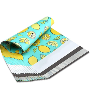 Biodegradable plastic bag Custom Color Logo Waterproof Ldpe Coex Poly Mailers Boutique Shipping Bags