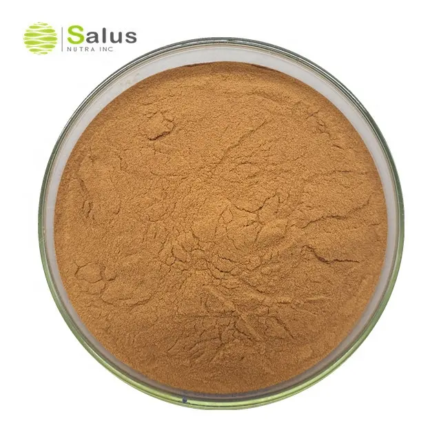 Pure Natural 1-Deoxynojirimycin 1-DNJ 1% 3% Mulberry Leaf Extract