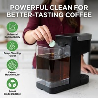Puissantes tablettes effervescentes solides détartrantes jetables pour le nettoyage des machines à café