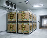 Cámara de maduración de plátanos y cámara frigorífica: Paneles para cámaras frigoríficas tipo walk-in usados en venta o cámara frigorífica comercial para plátanos verdes.