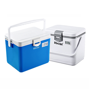 8L Outdoor Picnic Portable Ice Box Plastic Ice Cooler Vaccine Box for food fish and fruit OEM