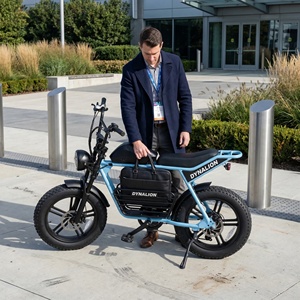 <span class=keywords><strong>Vélo</strong></span> <span class=keywords><strong>Électrique</strong></span> Urbain Premium Vintage à Pneus Larges avec Écran LCD, <span class=keywords><strong>Vélo</strong></span> <span class=keywords><strong>Électrique</strong></span> Urbain pour Centres <span class=keywords><strong>de</strong></span> Conférences et Places <span class=keywords><strong>de</strong></span> Rendez-vous - Product Image 4
