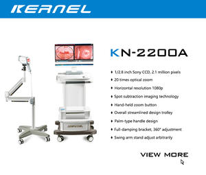 Digital medis pemeriksaan glikologic kamera HD Video Vagina kamera untuk ginekologi Vagina endoskopi - Product Image 6