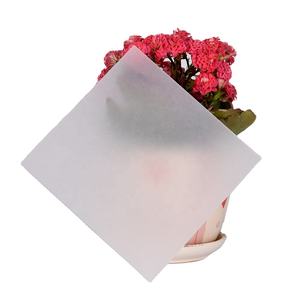 Feuille de polycarbonate transparent pour toiture-Remplacement de panneau de PC incassable pour le <span class=keywords><strong>verre</strong></span>, 100% UV protégé - Product Image 1