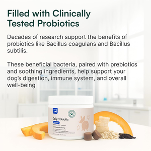 Friandises à mâcher molles personnalisées pour chiens, enrichies en enzymes et probiotiques, favorisent une digestion saine et un tractus intestinal équilibré - Product Image 2
