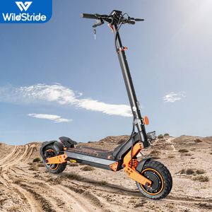 Trottinette électrique pour adultes USrope en stock E9G, capacité de charge 150 kg - Product Image 1