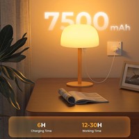 Lumière de douche intérieure pour chambre à coucher, étanche IP65, en ABS, blanc chaud, design rectangulaire moderne, taille moyenne, LED rechargeable 7500 mAh
