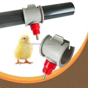 Bebedero automático de pezón de metal ZB/OEM/ODM, bebedero de agua para pollos para cría de aves de corral