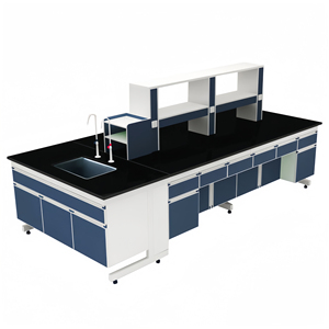 Meubles de laboratoire de haute qualité banc de travail chimique minier pharmaceutique poste de travail de Table de laboratoire en acier - Product Image 2