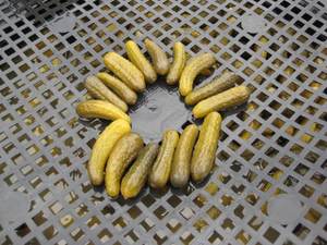 Légumes en solution de saumure Cornichons conservés avec du sel - Product Image 2