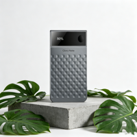 Enregistreur vocal IA 4 Go, 120 jours en veille, 48h d'enregistrement |   BLE5.3 WiFi 3 micros à conduction osseuse 32,5g Aluminium OEM