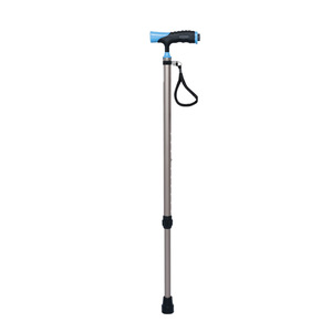 Canne de marche personnalisable, hauteur réglable sur 10 niveaux, embout en caoutchouc antidérapant pour personnes âgées, handicapées, seniors - Product Image 2