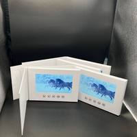 Brochure Video Personalizzata con Schermo LCD HD, Biglietto d'Auguri Digitale, Invito Matrimoniale, Libro Video Pubblicitario Aziendale