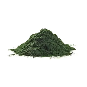 食品化学高品质食品级螺旋藻粉