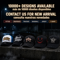 31 Casquettes et Chapeaux avec logo imprimé par transfert thermique, Marque Originale, Casquettes Dandi à visière incurvée, Casquette de sport style Trucker à 5 panneaux, 100% Daim