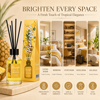 Diffuseur de parfum d'ambiance 100 ml, écologique, bâtonnets naturels, bouteille en verre recyclable, longue durée, idée cadeau