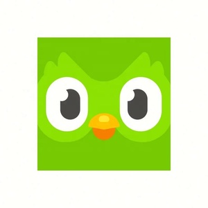 บัญชี Duolingo Pro ระดับพรีเมียม 1 ปี ใช้ได้ทั่วโลก เปิดใช้งานบัญชีของคุณเอง - Product Image 4