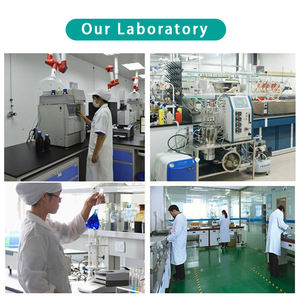 Grosir ekstrak <span class=keywords><strong>Andrographis</strong></span> Paniculata jumlah besar 10% bubuk Andrographolide - Product Image 3