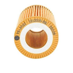 Filtre à huile automobile 1012015-26L à <span class=keywords><strong>prix</strong></span> d'usine, compatible avec Pentium B30/B50/T33/X40 - Product Image 6