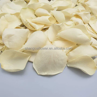 180 PCS Kelopak Bunga Mawar Merah Asli Kering Konfeti Pernikahan 50g Diawetkan Beku Karet Dekorasi Malam Romantis Lamaran Pernikahan Centerpiece