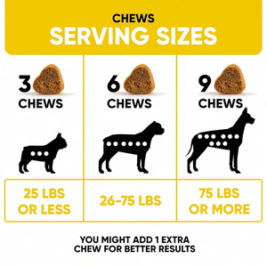Suplementos de Nutrición de probióticos para mascotas con probióticos y enzimas para apoyar la digestión en OEM/ODM suaves de masticables para perros - Product Image 3