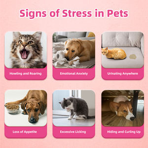 Pasta <span class=keywords><strong>de</strong></span> gel con sabor personalizado, suplemento calmante, pata <span class=keywords><strong>de</strong></span> gel calmante, alivia el estrés para gatos, hogar con varios gatos - Product Image 4