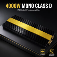 Amplificateur de puissance numérique pour voiture mono 12V classe D monocanal 4000W Modèle W-K3500.1D