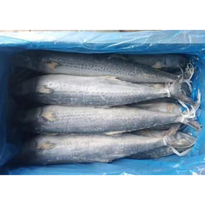 <span class=keywords><strong>Maquereau</strong></span> du Pacifique congelé 100-200g, petits poissons HGT, provenant d'un fournisseur chinois - Product Image 4