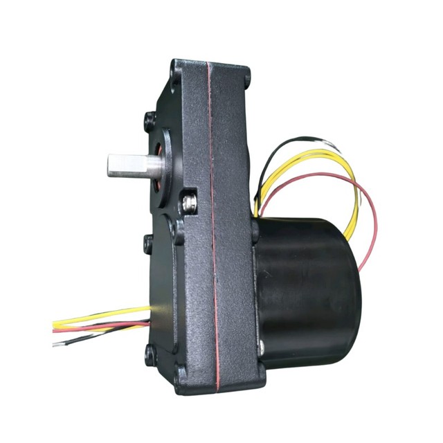 Custom AC230V 50Hz 1RPM Black Spray Geard Motor