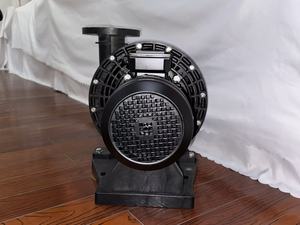 Bomba de Agua de Alta Potencia de 4KW 5.5KW, Bomba Autocebante con Motor Eléctrico - Product Image 4