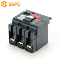 Interruptor Diferencial Compacto Vigi NS 3P 250A de la Marca SSPD de China, Precio del Interruptor de Corriente Residual RCCB