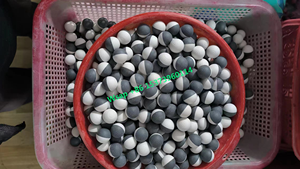 Pintura en Polvo para Paintball Calibre .43 - Relleno de Polvo de Talco, Opción de Empaque en Tubo o Bolsa de Mylar - Product Image 6