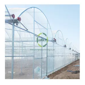 Moderne Landbouw Intelligente Film Plastic Gepersonaliseerde Lage Prijs Tuin Plastic Multi-Span Kas