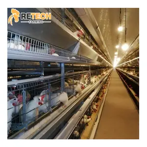 Fabricant d'équipement d'élevage de volaille 4 niveaux Type H Stock Parent batterie de poulet Cage d'élevage à vendre