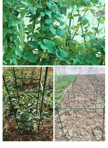 <span class=keywords><strong>Piquets</strong></span> <span class=keywords><strong>de</strong></span> jardin 8 mm x 60 cm pour <span class=keywords><strong>tomates</strong></span>, concombres, fraises, haricots, arbres, <span class=keywords><strong>piquets</strong></span> <span class=keywords><strong>de</strong></span> jardin en plastique enduit, supports robustes pour plantes en métal - Product Image 4