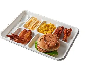 Assiettes à emporter à 5 compartiments avec couvercles, plateau Compostable 100%, canne à sucre, sac, plateau à déjeuner scolaire, populaire dans le monde entier