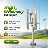Aerogenerador Vertical Completo y Silencioso de 20kw 10kw, También Llamado Molino de Viento, Generador Eólico de 48v 2KW 5kw 3kw para el Hogar