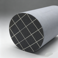 Filtro Antiparticolato SiC DPF Catalizzatore a Nido d'Ape per Camion Commerciali