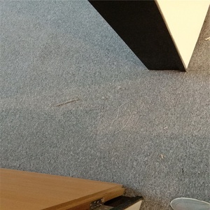 Alfombra de oficina comercial duradera de pila baja, alfombra de suelo al por mayor de área grande para sala de juegos, gimnasio, iglesia, mesa de centro hecha a máquina - Product Image 2